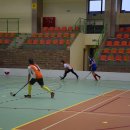 igdzuni 44
